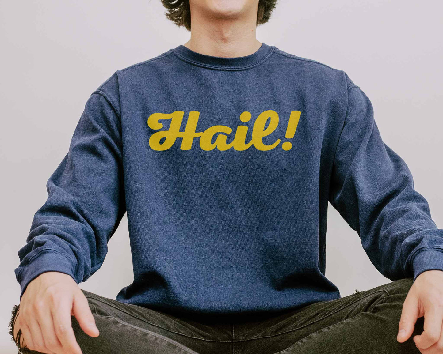 Hail Michigan Vintage Style Sweatshirt