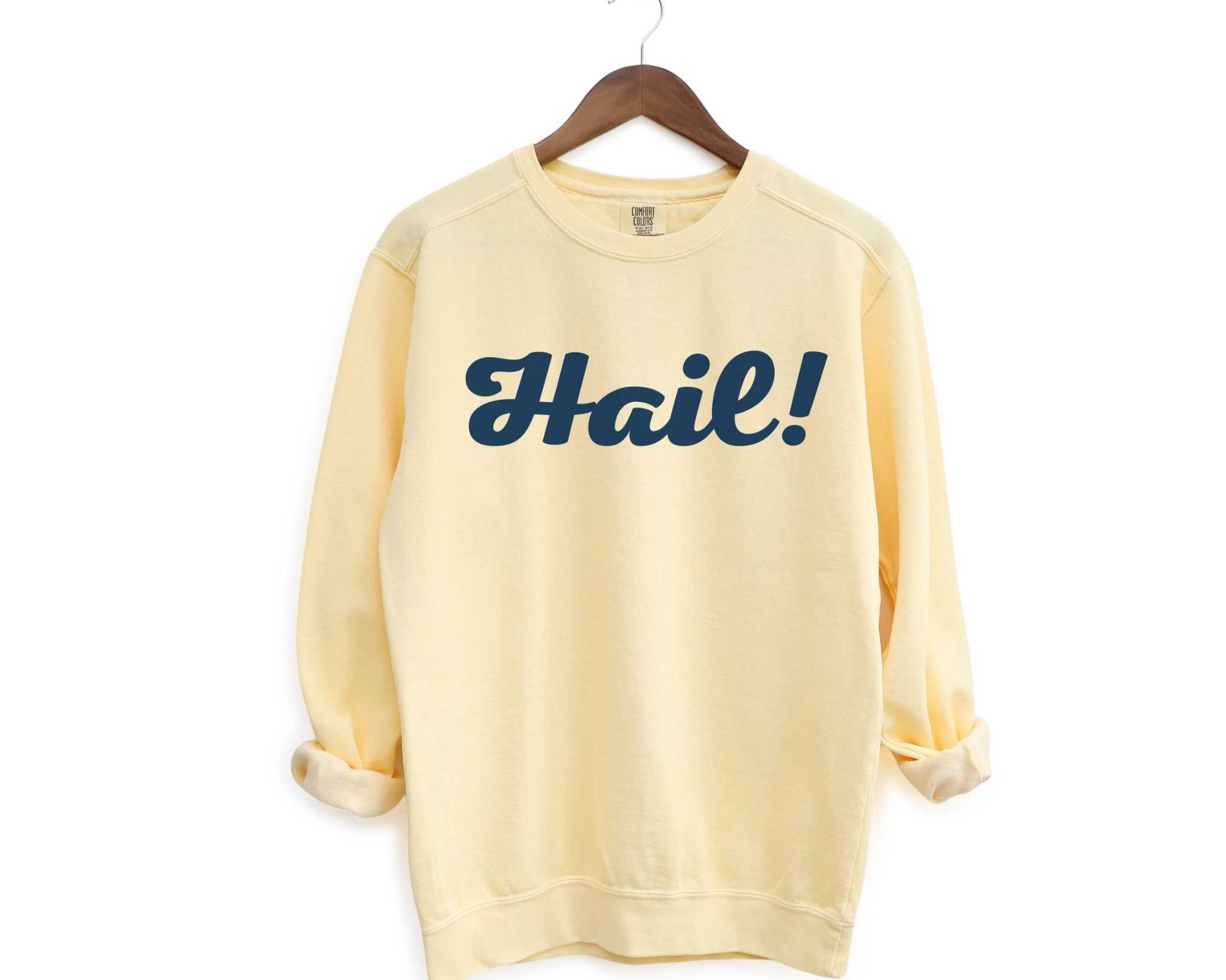 Hail Michigan Vintage Style Sweatshirt in Butter