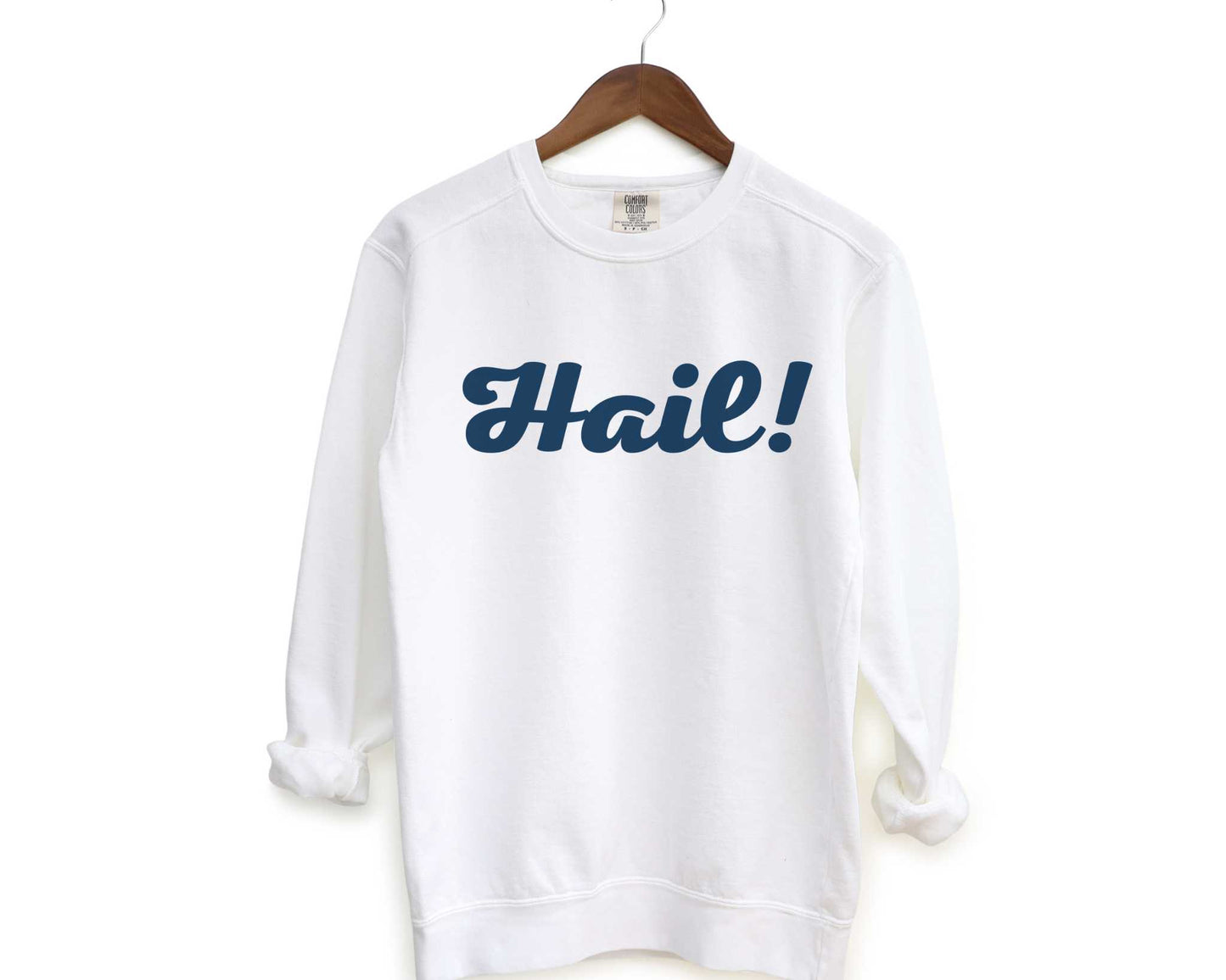 Hail Michigan Vintage Style Sweatshirt in White