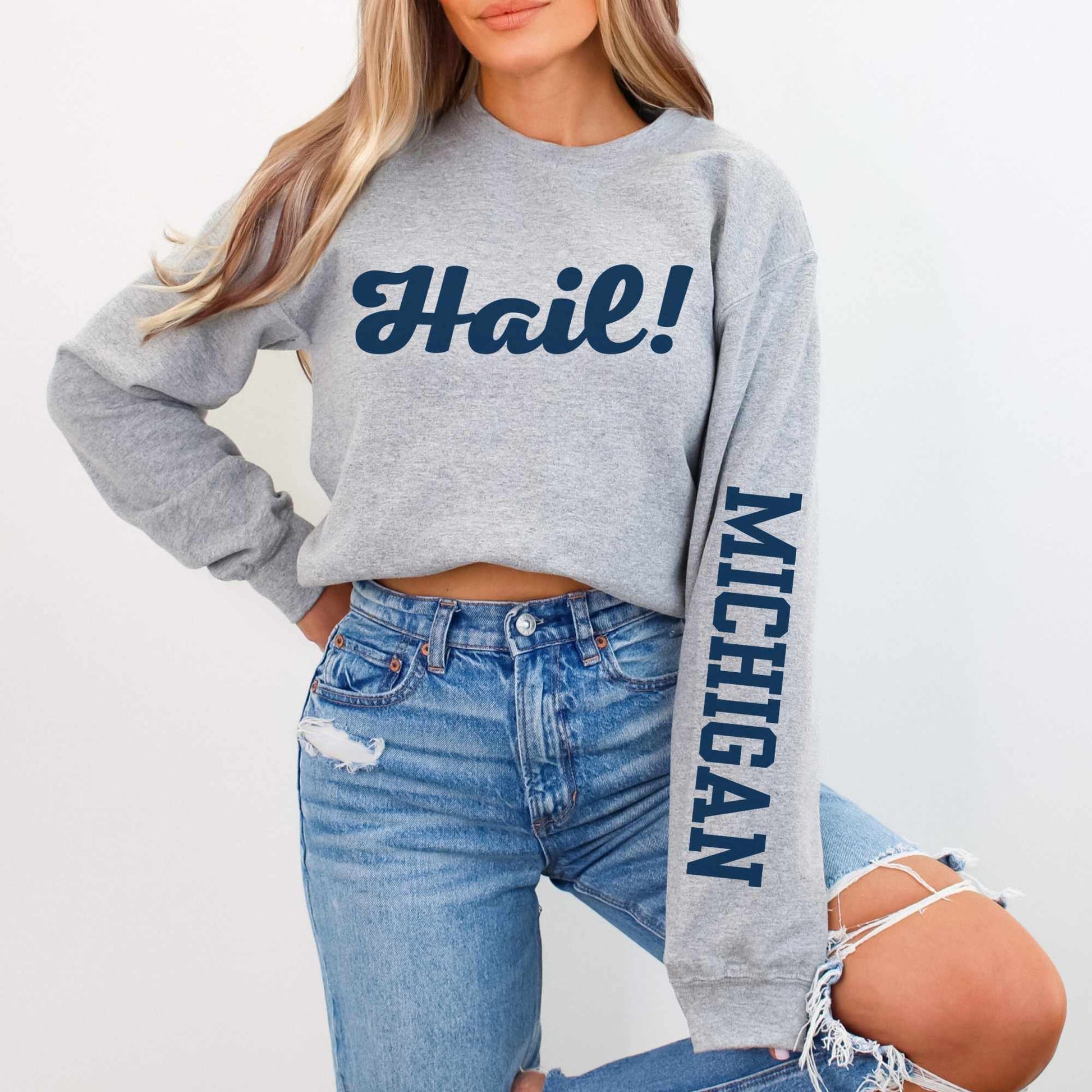 Michigan Hail Sweatshirt in Sport Gray with Sleeve Print