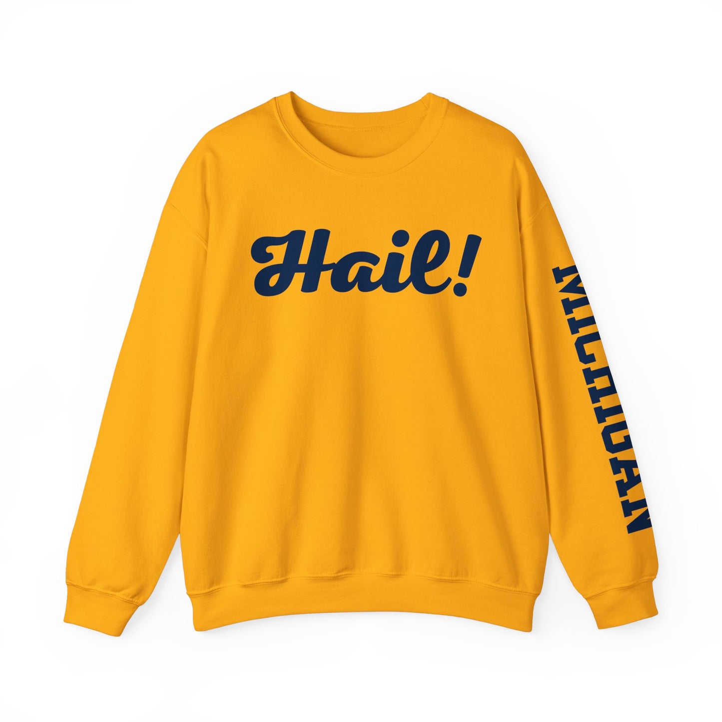 Michigan Hail Sweatshirt in Gold with Sleeve Print