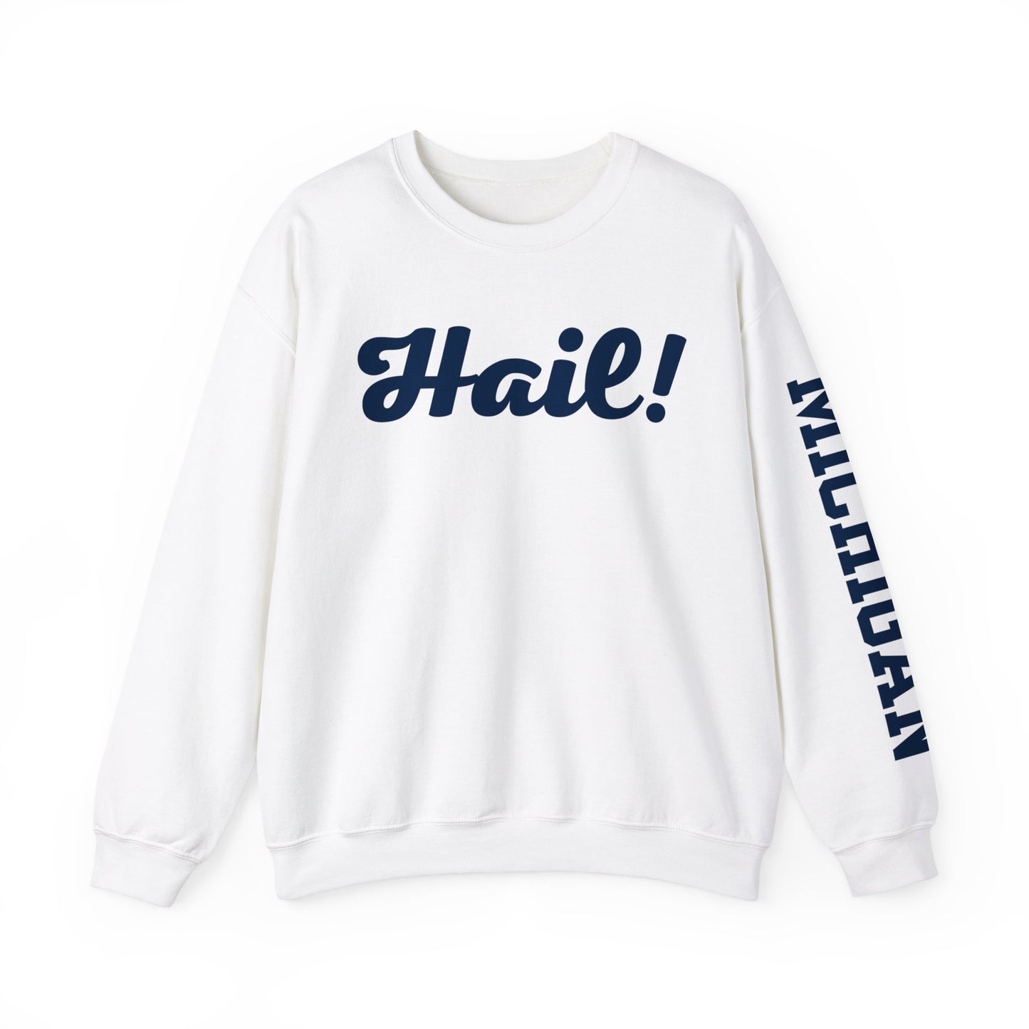 Michigan Hail Sweatshirt in White with Sleeve Print