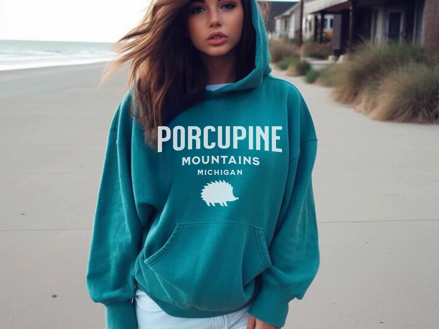 Porcupine Mountains Comfort Colors Hoodie in Seafoam